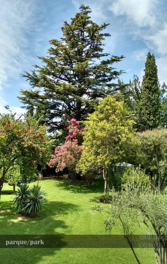 Bed and Breakfast Quinta Ugarte Lujan de Cuyo Exteriér fotografie
